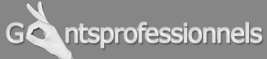 www.gantsprofessionnels.com